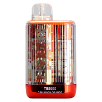 Elf Bar TE Orange With Cinnamon 5000 Puffs (М)