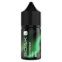 Soak L Salt Cane Mint 30ml 20mg (М)