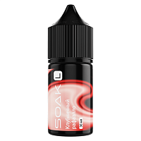Soak L Salt Strawberry Raffaello 30ml 20mg (М)