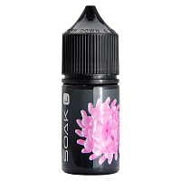 Soak L Salt Bubble Gum 30ml