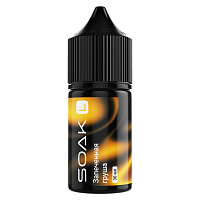 Soak L Salt Baked Pear 30ml 20mg (М)