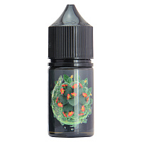Soak L Salt Cactus Lemonade 30ml