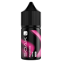 Soak L Salt Сhinese Lychee 30ml 20mg (М)