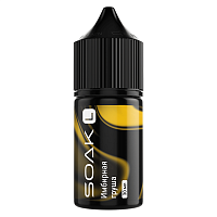 Soak L Salt Ginger Pear (20mg) (М)