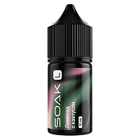 Soak L Salt Cactus Lemonade 30ml 20mg (М)