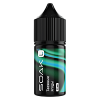Soak L Salt Taiga Berries 30ml (20mg) (М)