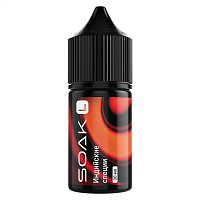 Soak L Salt Indian Spices 30ml (20mg) (М)
