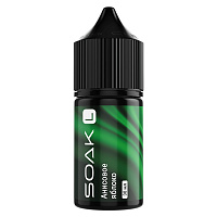 Soak L Salt Anise Apple 30ml (20mg) (М)