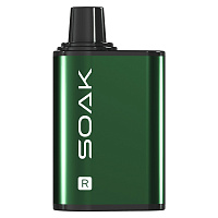 Soak R Kiwi Lime 5000 Puffs (М)