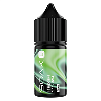 Soak L Salt Lime Soda 30ml 20mg (М)
