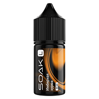 Soak L Salt Ginger Persimmon 30ml (20mg) (М)